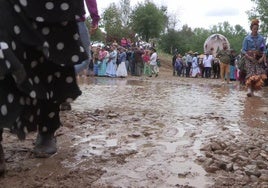 La Junta de Andalucía fumigará zonas de paso de la romería de El Rocío para controlar el virus del Nilo