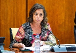 La Junta de Andalucía destina casi 70 millones para arreglar y mantener 1.513 kilómetros de vías pecuarias
