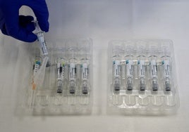 Castilla y León amplía a los niños de entre 5 y 8 años la vacunación frente a la gripe