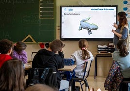 Éxito de la segunda edición del programa de Naturalización de las Aulas de Caixa Popular y Fundación Bioparc