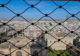 La Catedral blinda los miradores de la Giralda con 'rejas invisibles'