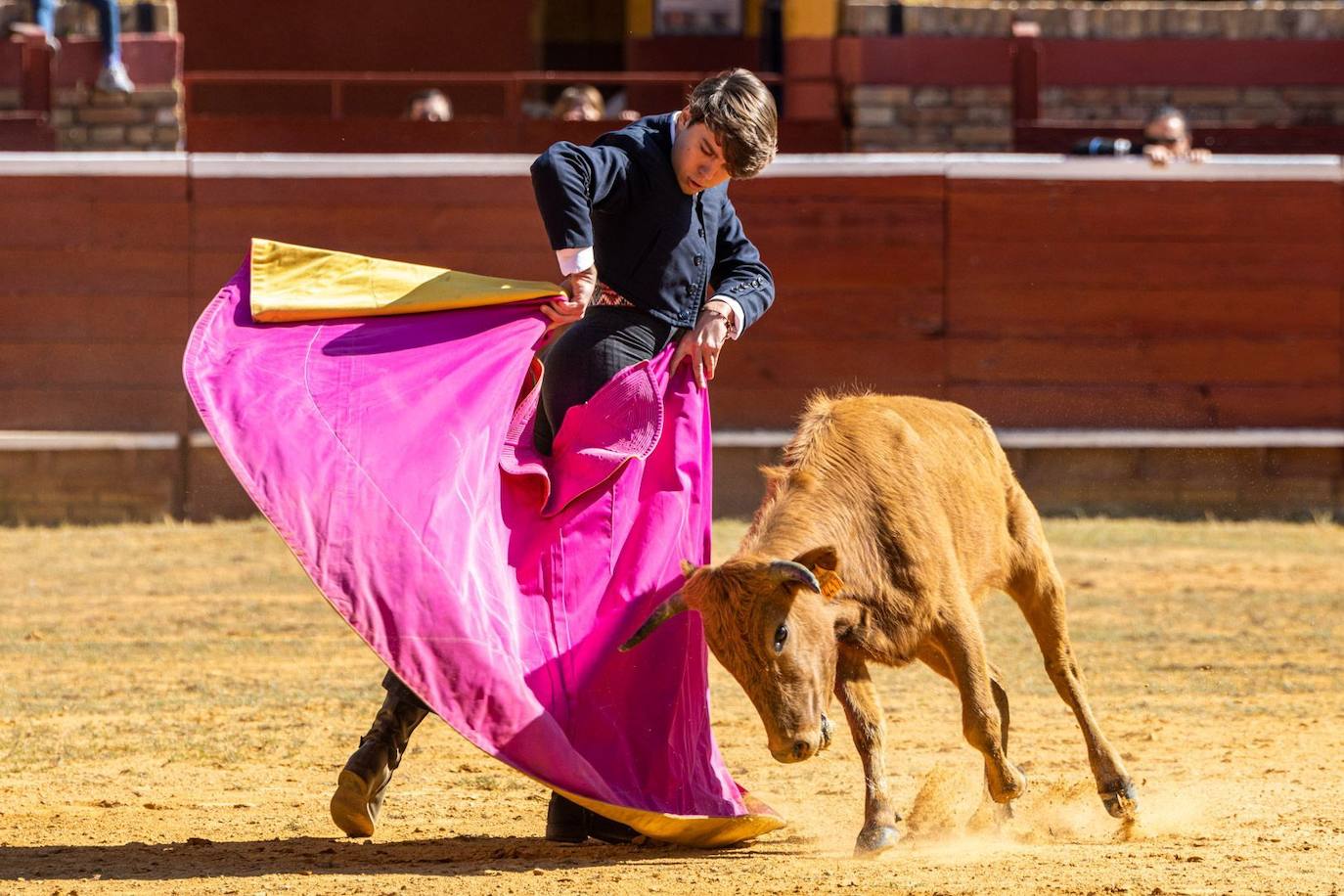 Las imágenes del ‘Tentadero Público’ en homenaje al abonado en la Plaza de Toros de La Merced