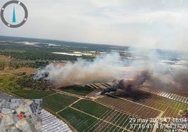 Extinguidos los incendios del paraje del Pilonar y Moguer declarados este jueves